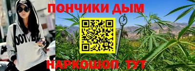 гидропоника Краснознаменск