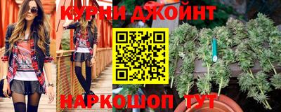 гидропоника Краснознаменск