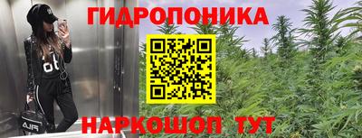 гидропоника Краснознаменск