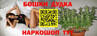 гидропоника Краснознаменск