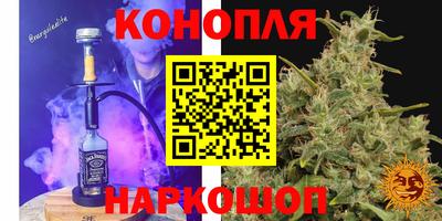 гидропоника Краснознаменск
