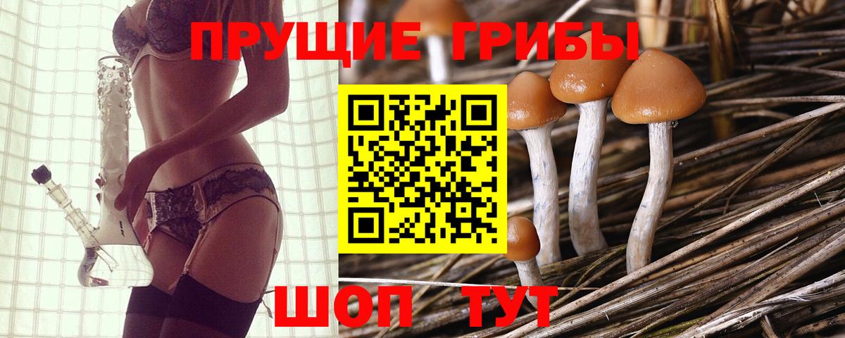 Галлюциногенные грибы MAGIC MUSHROOMS Всеволожск